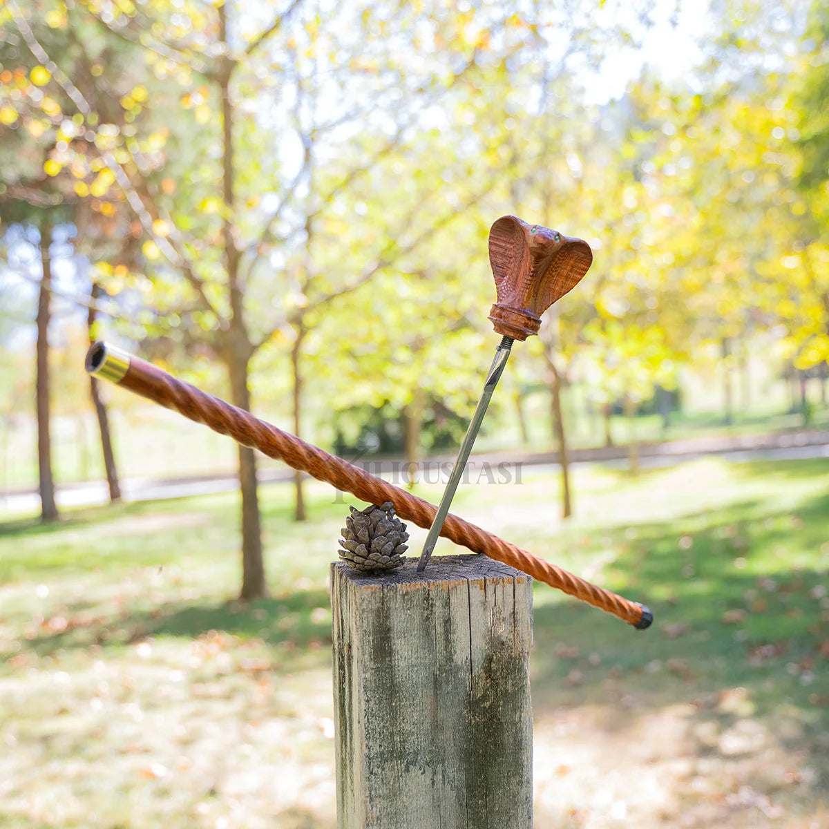 Cobra Head Cane Sword